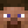 Namecheap's Minecraft head